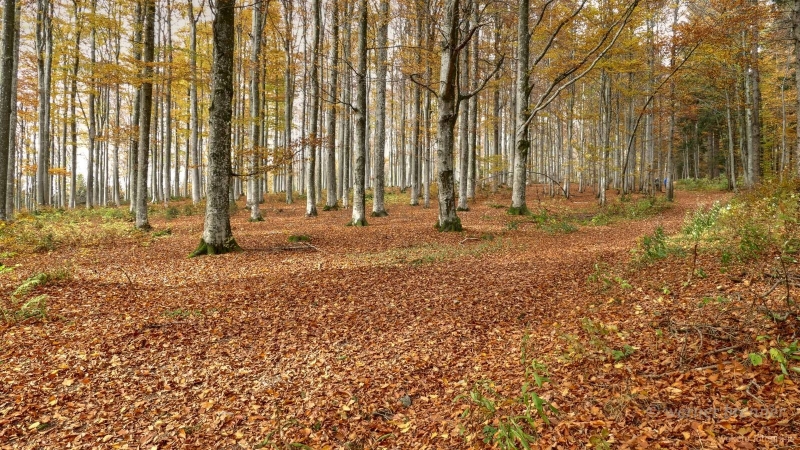 1150257_8_9_tonemapped-Kopie