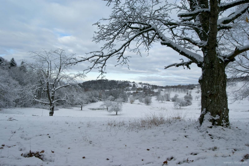 DSC09836